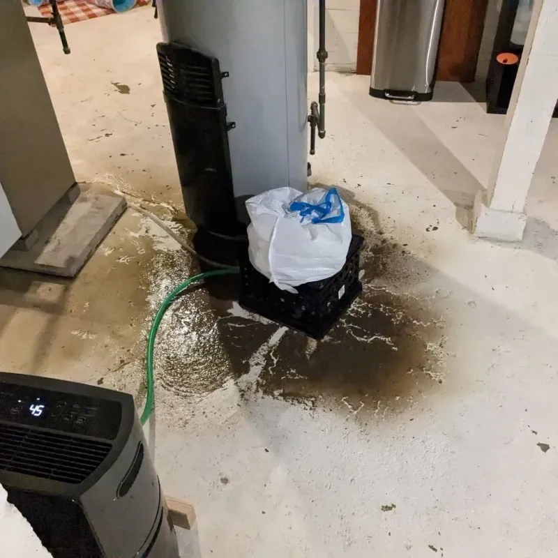 Sewage Backup Cleanup Service in Albany, LA
